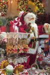 Coppelmans | Kerstshows 2022