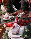 Coppelmans | Kerstshows 2022