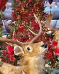 Coppelmans | Kerstshows 2022
