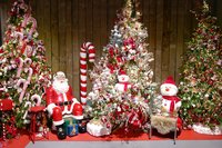 Coppelmans | Kerstshows 2022