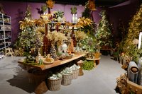 Coppelmans | Kerstshows 2022