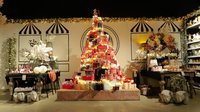 Coppelmans | Kerstshows 2022