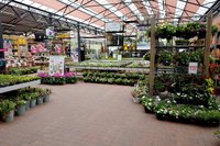 Coppelmans Nuenen | Kerstshow 2021