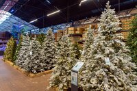 Coppelmans Nuenen | Kerstshow 2025