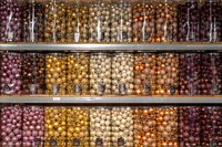 Coppelmans Nuenen | Kerstshow 2025