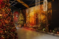 Coppelmans Nuenen | Kerstshow 2025