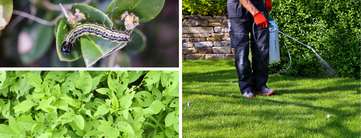 Tuincentrum Coppelmans | Tips voor gebruik gewasbeschermingsmiddelen