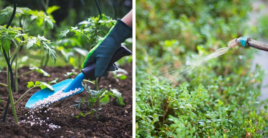 Tuincentrum Coppelmans | Gewasbescherming | Bestrijdingsmiddelen