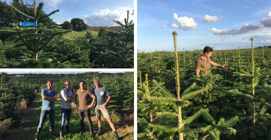 Kerstbomen kopen bij tuincentrum Coppelmans