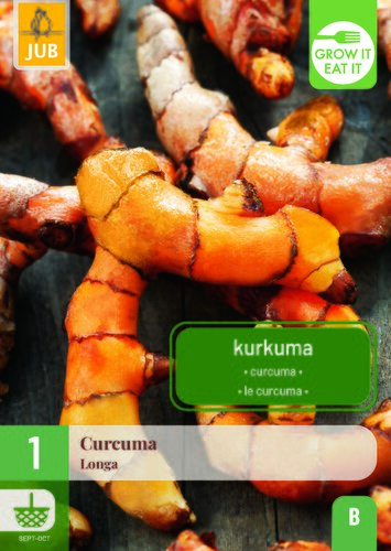 1 CURCUMA LONGA