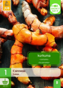 1 CURCUMA LONGA