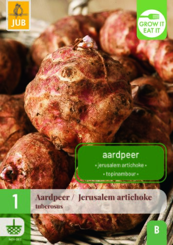 1 HELIANTHUS TUBEROSUS AARDPEER