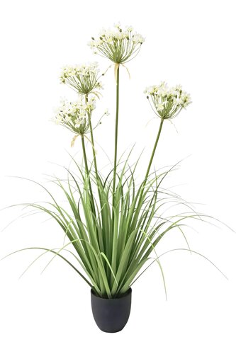 Agapanthus Zijde - H110cm Wit