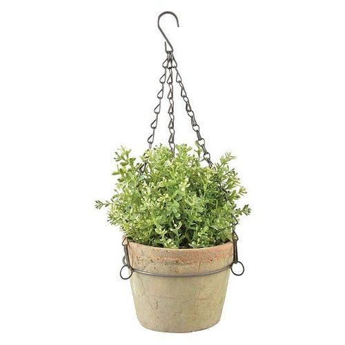 Aged Terracotta pot hangend L