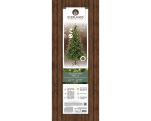 Allison pine switch prelit hinged tree - 826 tips - H 150 x D 97cm 220L - afbeelding 4