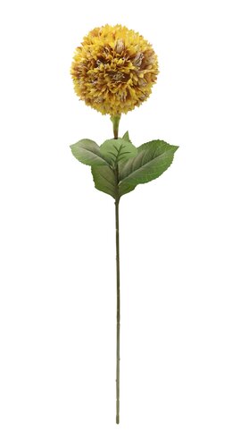 Allium H 76 cm geel