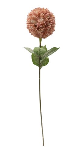 Allium H 76 cm roze