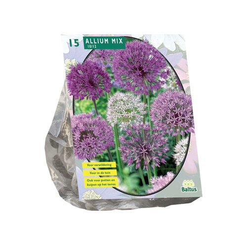 Allium Mix Paars-Wit per 15 - afbeelding 1
