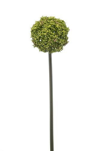 Allium spray green 74cm