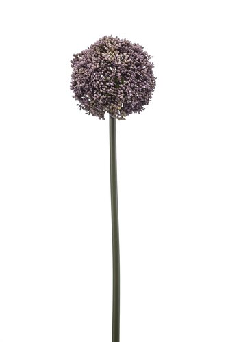 Allium spray lt purple 74cm