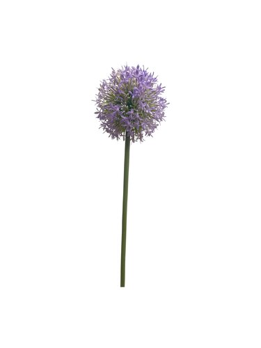 Allium Zijde - 62cm Paars