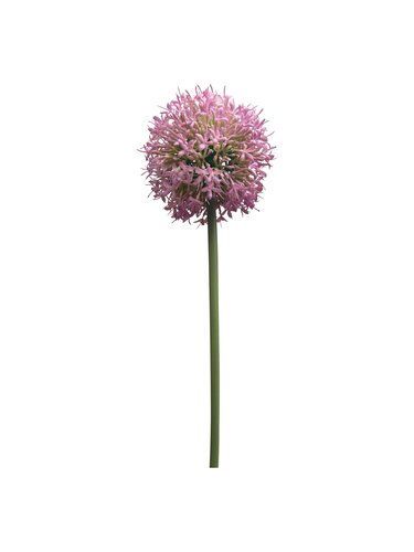 Allium Zijde - 62cm Roze