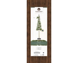 Alpine tree - 591tips - H210cm x D 50cm - afbeelding 4