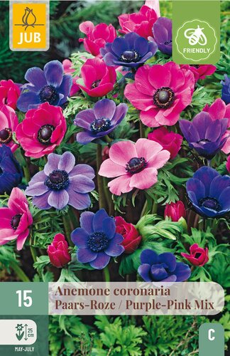 Anemone coronaria paars-roze mix 15st
