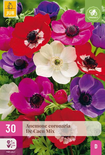 Anemone de caen mix 30st