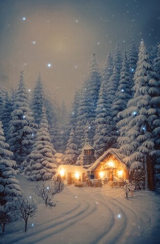 Anna's Collection Canvas 'Huis in sneeuw' met verlichting - B 38 x H 58 cm