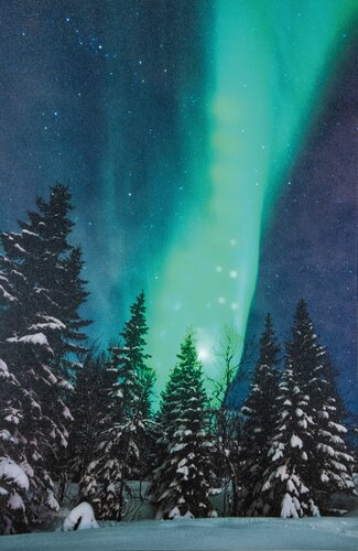 Anna's Collection Canvas 'Noorderlicht' met bewegend effect en verlichting - B 38 x H 58 cm