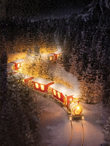 Anna's Collection Canvas 'Verlichte trein' met verlichting - B 30 x H 40 cm