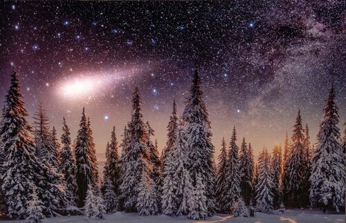Anna's Collection Canvas 'Winterlandschap' met verlichting - B 58 x H 38 cm