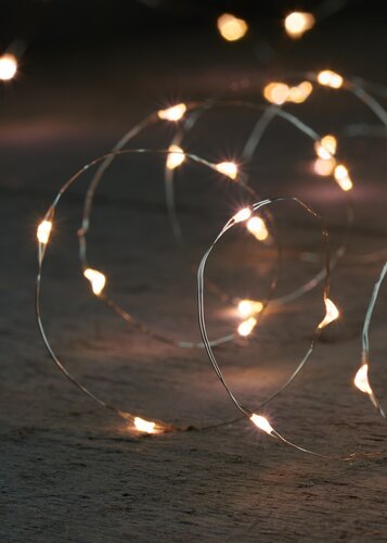 Anna's Collection Draadverlichting 40 LED - L2m Zilver - afbeelding 2