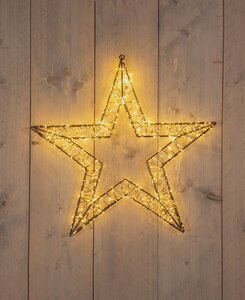 Anna's Collection LED-ster hangend metaal classic warm - 1200 lampjes - B 56 x D 5 cm - afbeelding 2