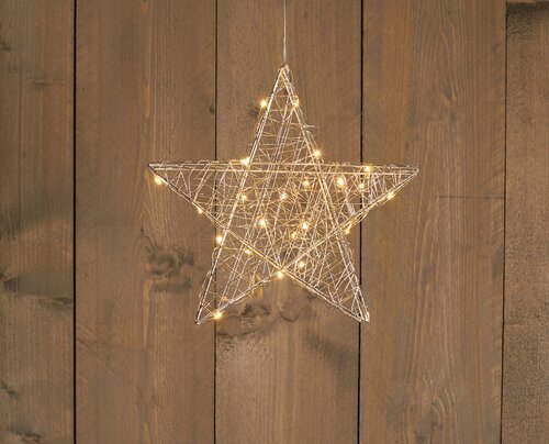 Anna's Collection LED-ster hangend metaal zilver warm wit - 25 lampjes - B 30 cm