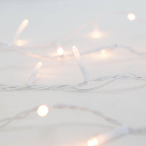 Anna's Collection Ricelightverlichting classic warm - 40 lampjes - 2 m - snoer wit