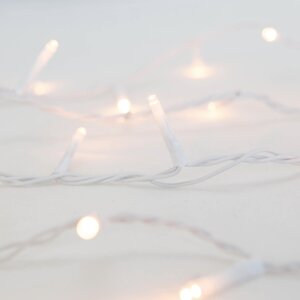 Anna's Collection Ricelightverlichting classic warm - 80 lampjes - 4 m - snoer wit