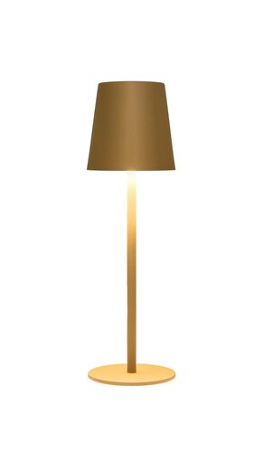 Anna's Collection Tafellamp USB mini - D7xH27,5cm Goud