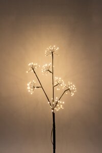 Anna's Collection Tak dandelion met LED-verlichting - L70cm Classic warm - afbeelding 4