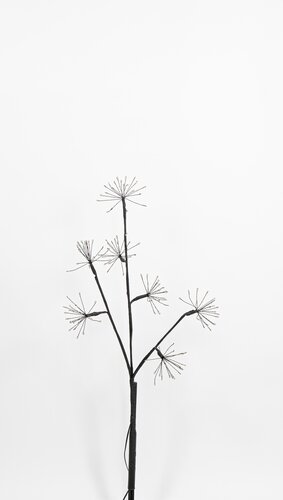 Anna's Collection Tak dandelion met LED-verlichting - L70cm Classic warm - afbeelding 2