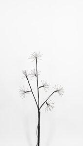 Anna's Collection Tak dandelion met LED-verlichting - L70cm Classic warm - afbeelding 2