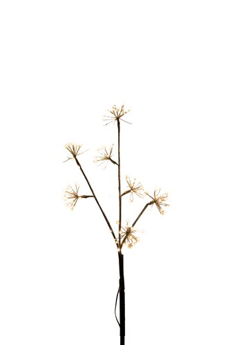 Anna's Collection Tak dandelion met LED-verlichting - L70cm Classic warm - afbeelding 1