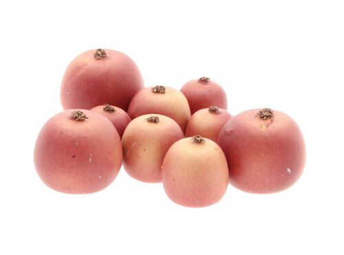 Appel Malus 3 Maten 9 st D Rood