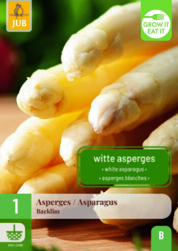 Asparagus / asperges backlim 1st