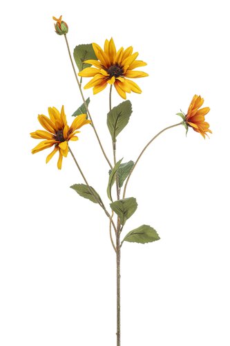 Aster spray orange 82cm