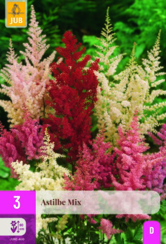 Astilbe mix 3st