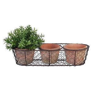 AT 3 potjes in draadmand