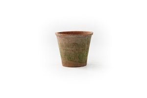 Azalea Pot Rood - Ø 16 x H 14,5 cm - afbeelding 1
