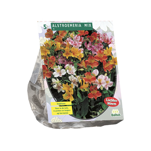 Baltus Alstroemeria Mix per 5